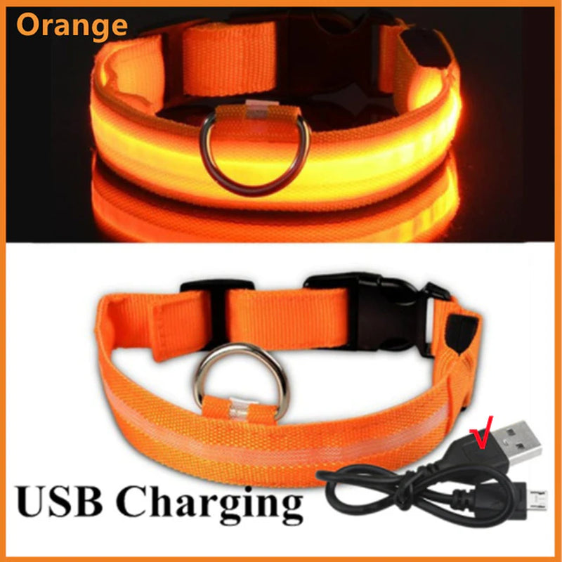 BeaconBuddy LED Dog (Adjustable Flashing Recharge Anti-Lost Dog Light Harness)