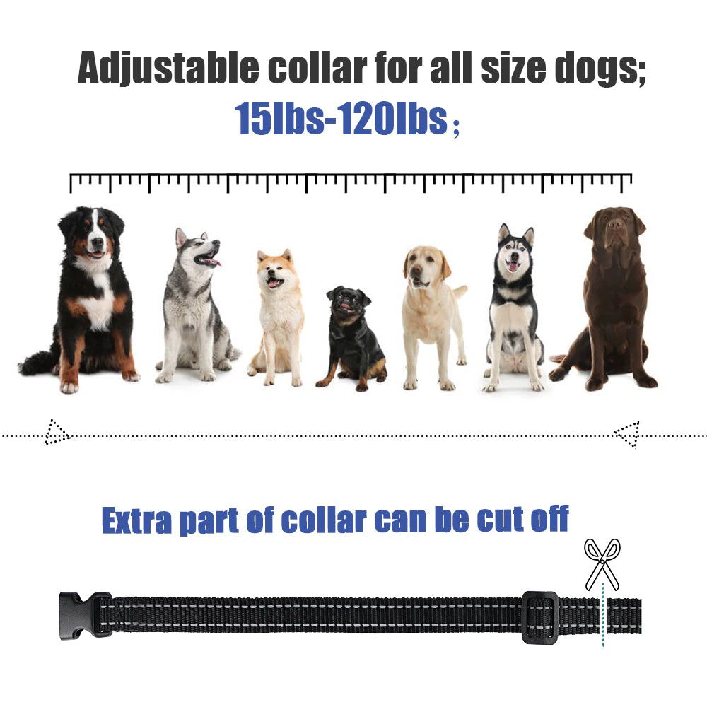 800M Electric Dog Training Collar Light IP7 Waterproof Pet Remote Control with Shock Vibration Sound Function Collars
