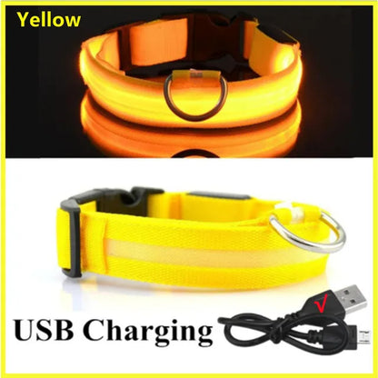 BeaconBuddy LED Dog (Adjustable Flashing Recharge Anti-Lost Dog Light Harness)