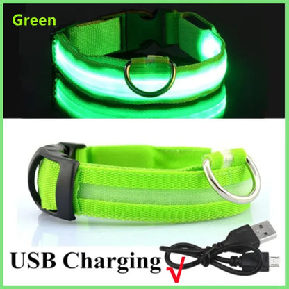BeaconBuddy LED Dog (Adjustable Flashing Recharge Anti-Lost Dog Light Harness)